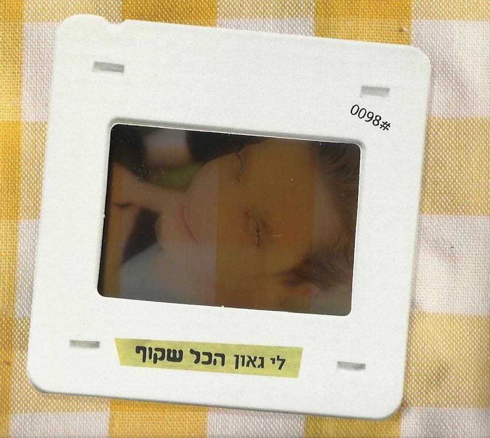 לי גאון — הכל שקוף