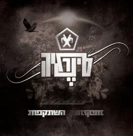 סינרגיה — השתקפות